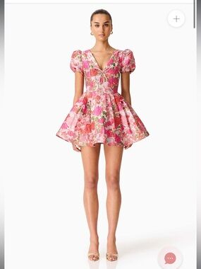 elliatt floralie pink & red floral print jacquard flare mini dress small NEW
